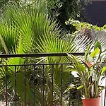 Bel Avec Grande Terrasse Ensoleillee Et Jardin * Perpignan