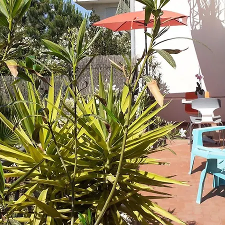 Apartmán Bel Avec Grande Terrasse Ensoleillee Et Jardin *