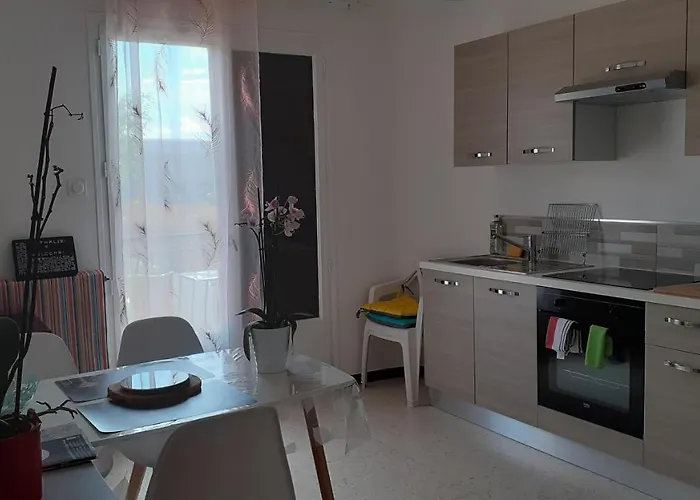 公寓 Bel Avec Grande Terrasse Ensoleillee Et Jardin 佩皮尼昂