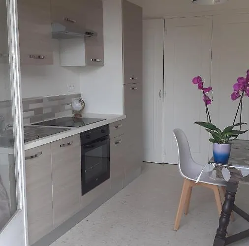 Bel Avec Grande Terrasse Ensoleillee Et Jardin *