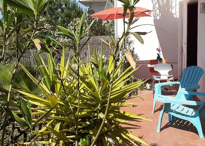 公寓 Bel Avec Grande Terrasse Ensoleillee Et Jardin *