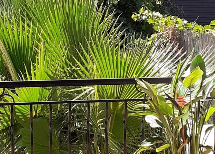 Bel Avec Grande Terrasse Ensoleillee Et Jardin * 佩皮尼昂